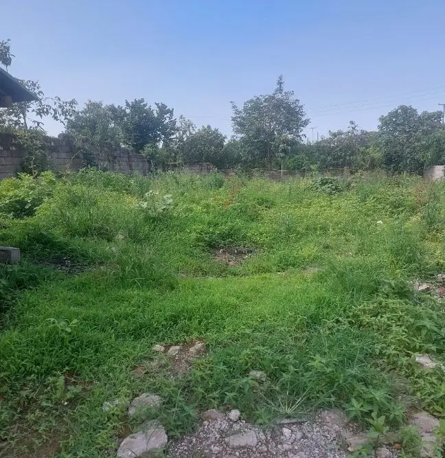 زمین فروشی