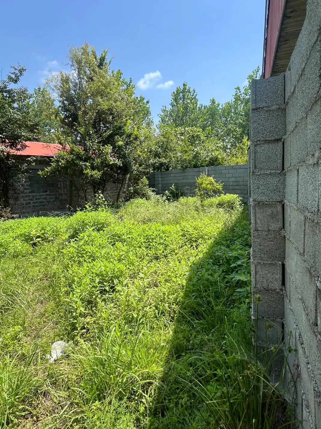 زمین مسکونی