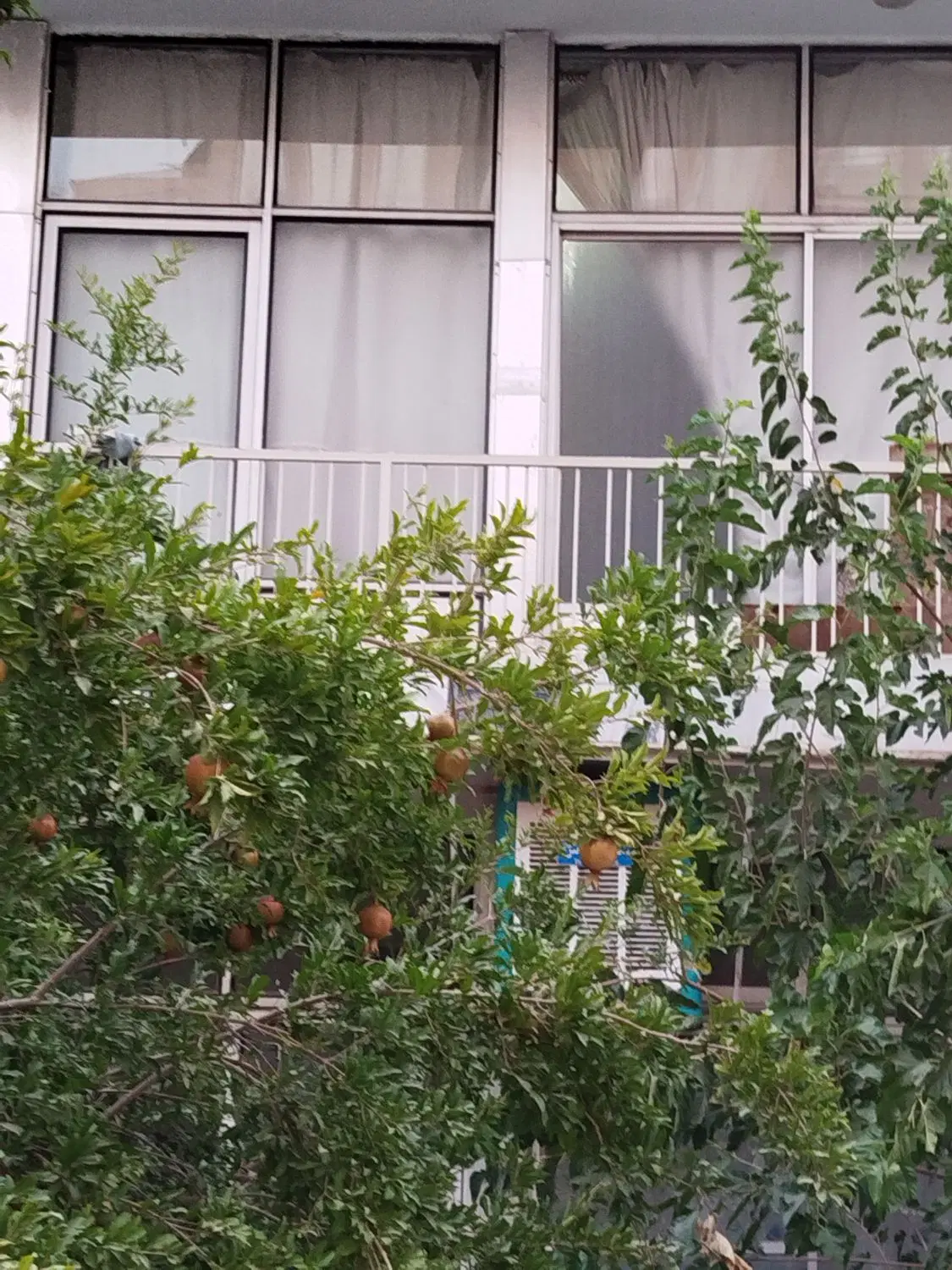 ویلایی200متری