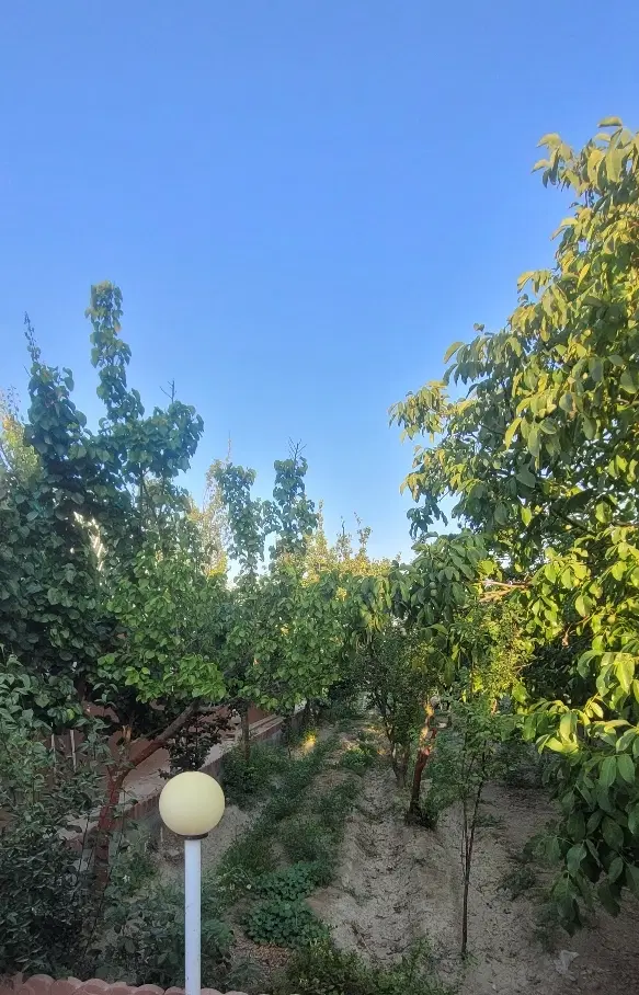 پلاک باغ
