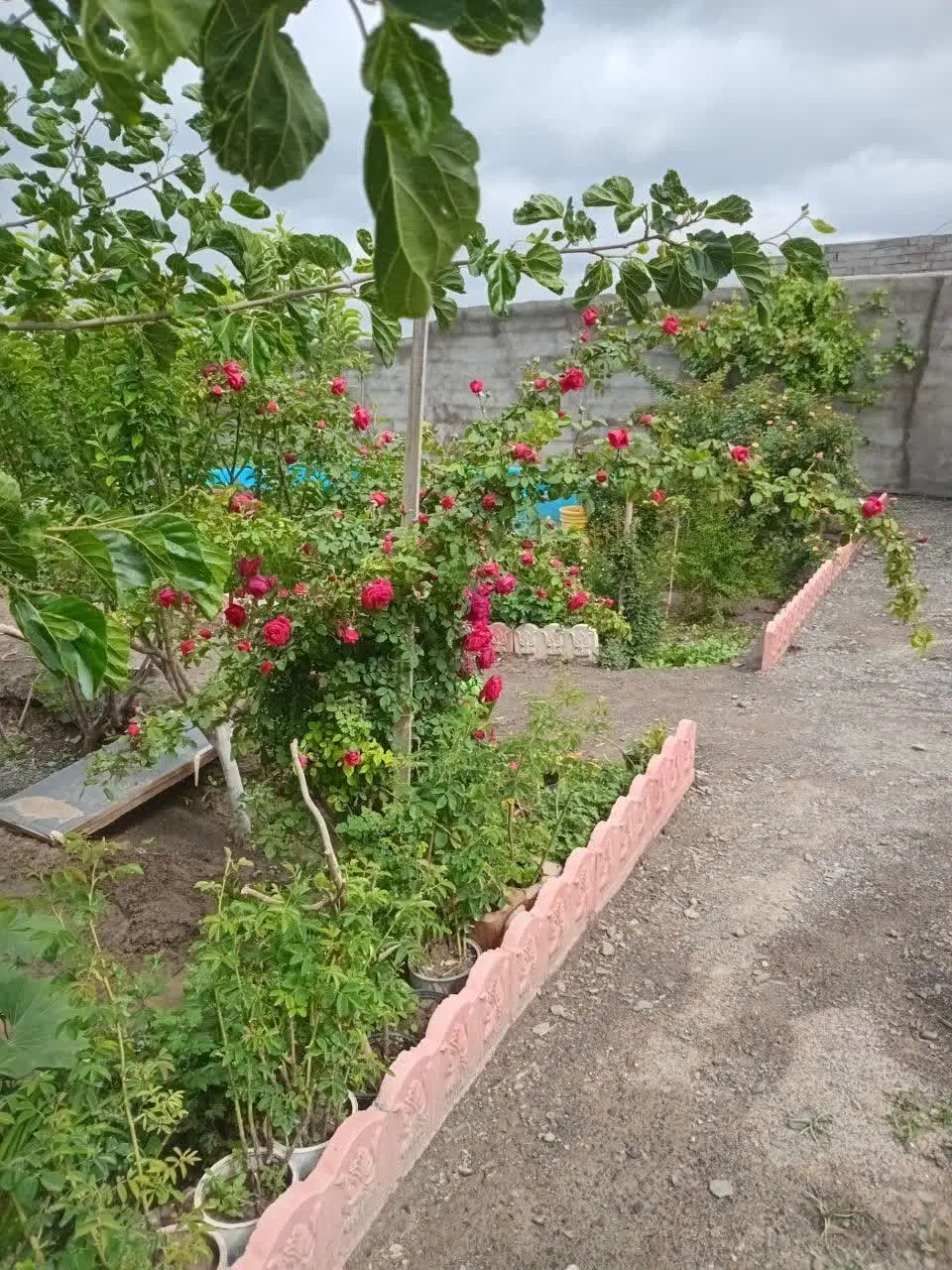 زمین فروش و معاوضه