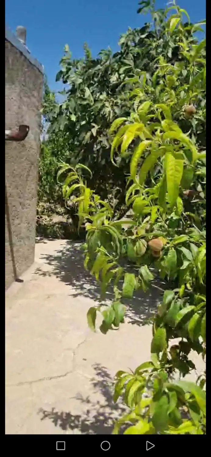 باغ مثمر با آب فراوان