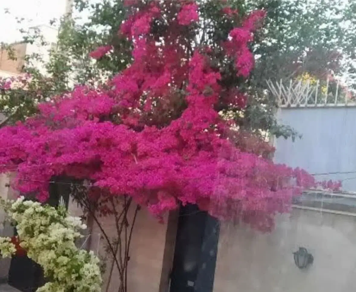 منزل اجاره ای جوادالایمه