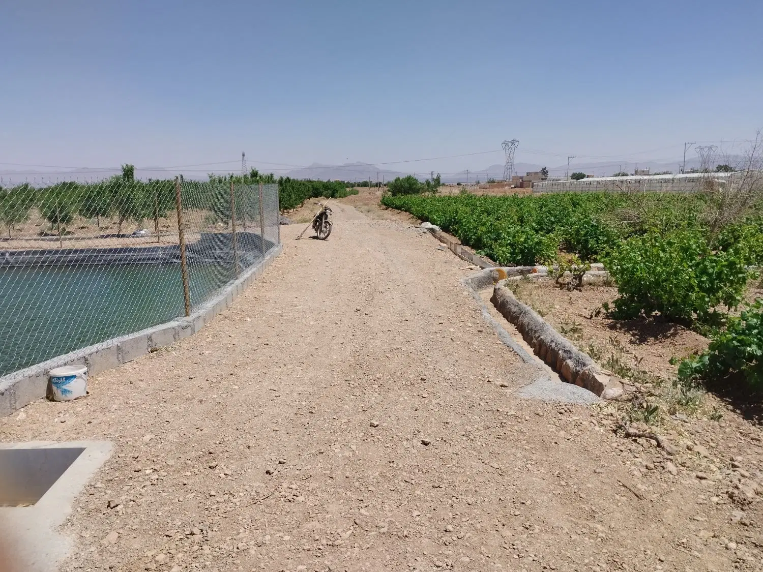 یک ساعت آب قنات همراه استخر و باغ بادام و انگور