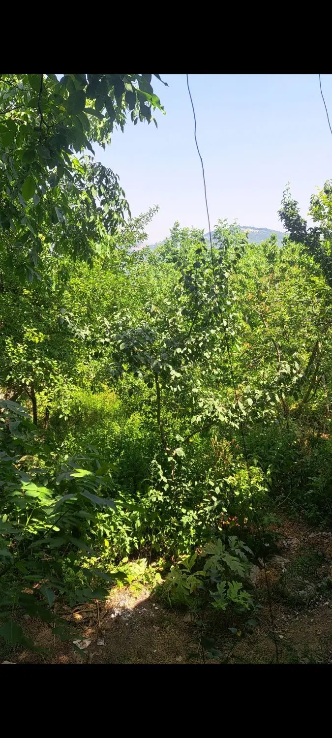 زمین مسکونی با چشم انداز بی نظیر