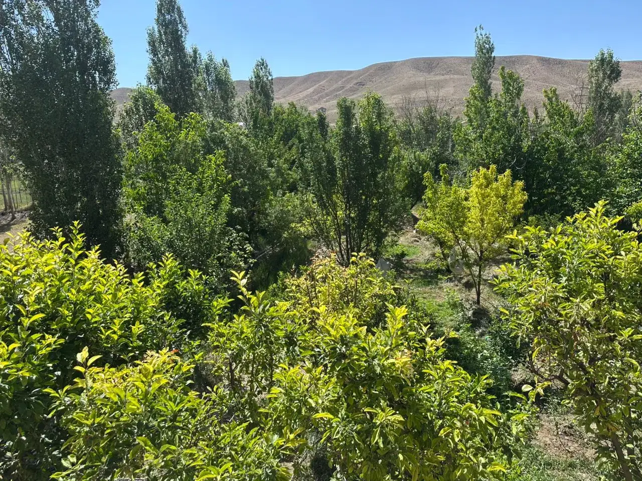 فروش خانه باغ در شهراباد فیروزکوه