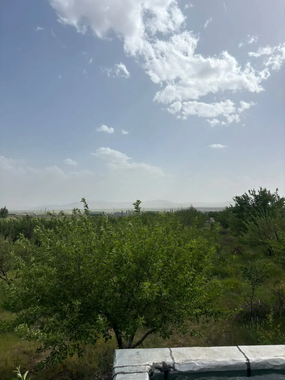 باغ نماور