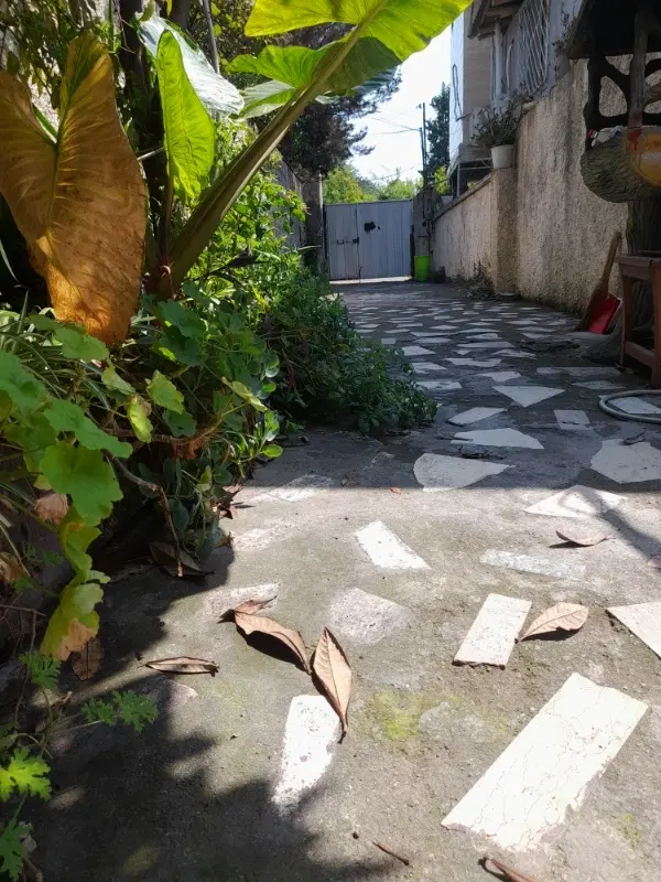 سوئیت اجاره ای