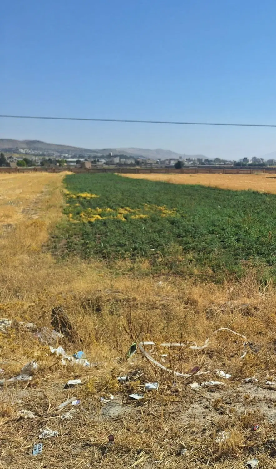 اجاره یا فروش یک هکتار زمین آبی بارانی مکانیزه