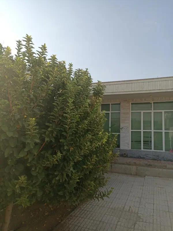 رهن ویلایی