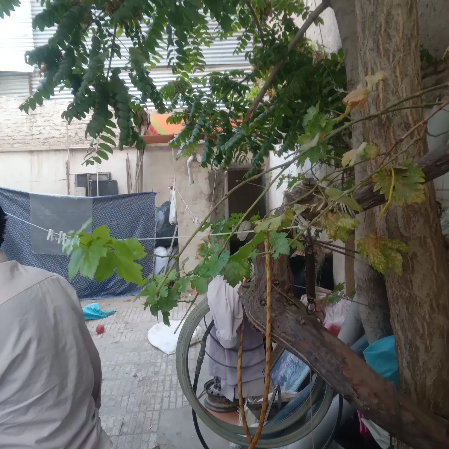 خانه فروشی