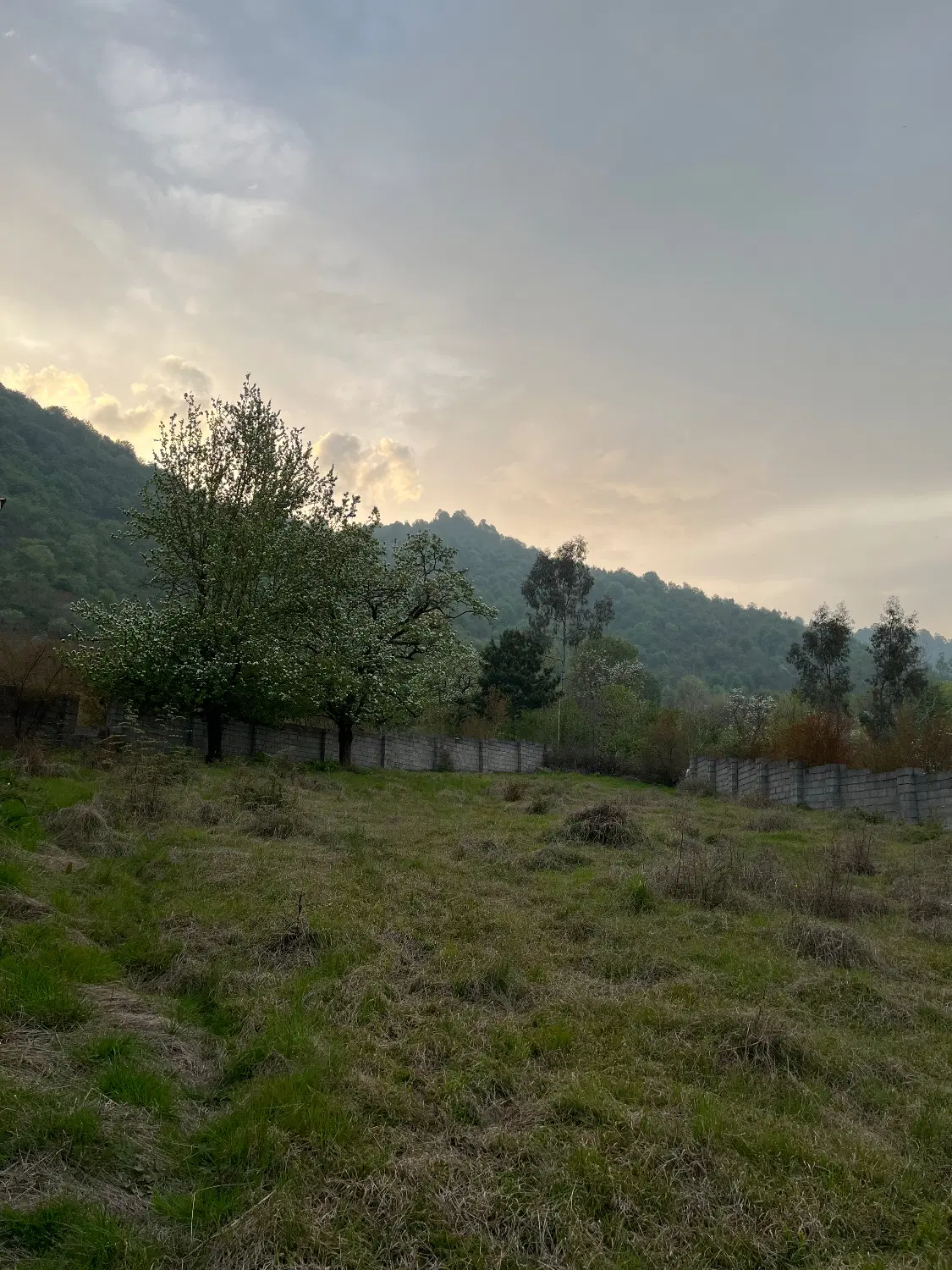زمین در بام سبز ماسال