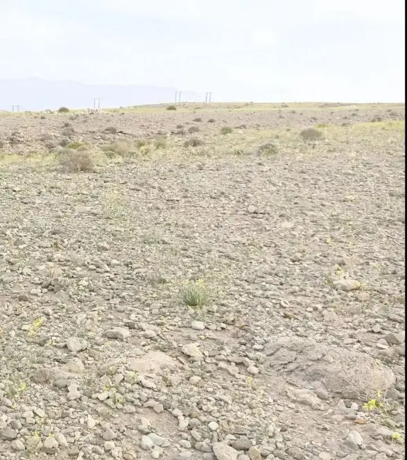 زمین ۷ هکتار