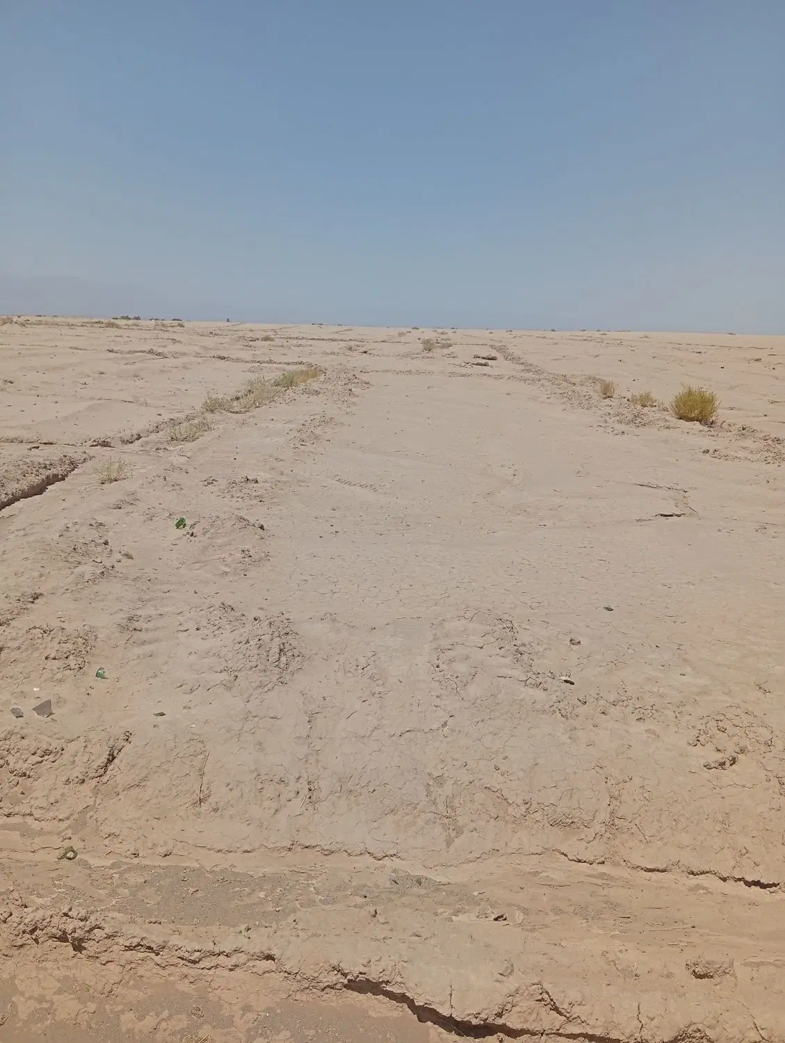 ۲۸۸ زمین باغچمک