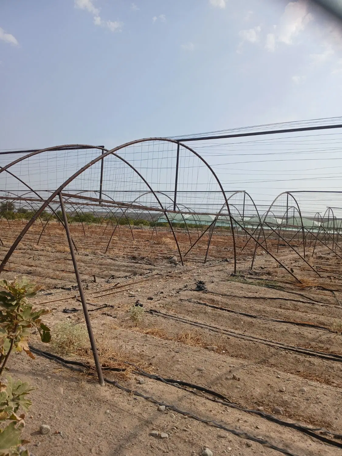 اجاره