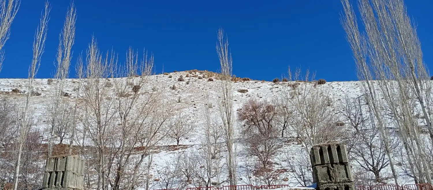 زمین کشاورزی