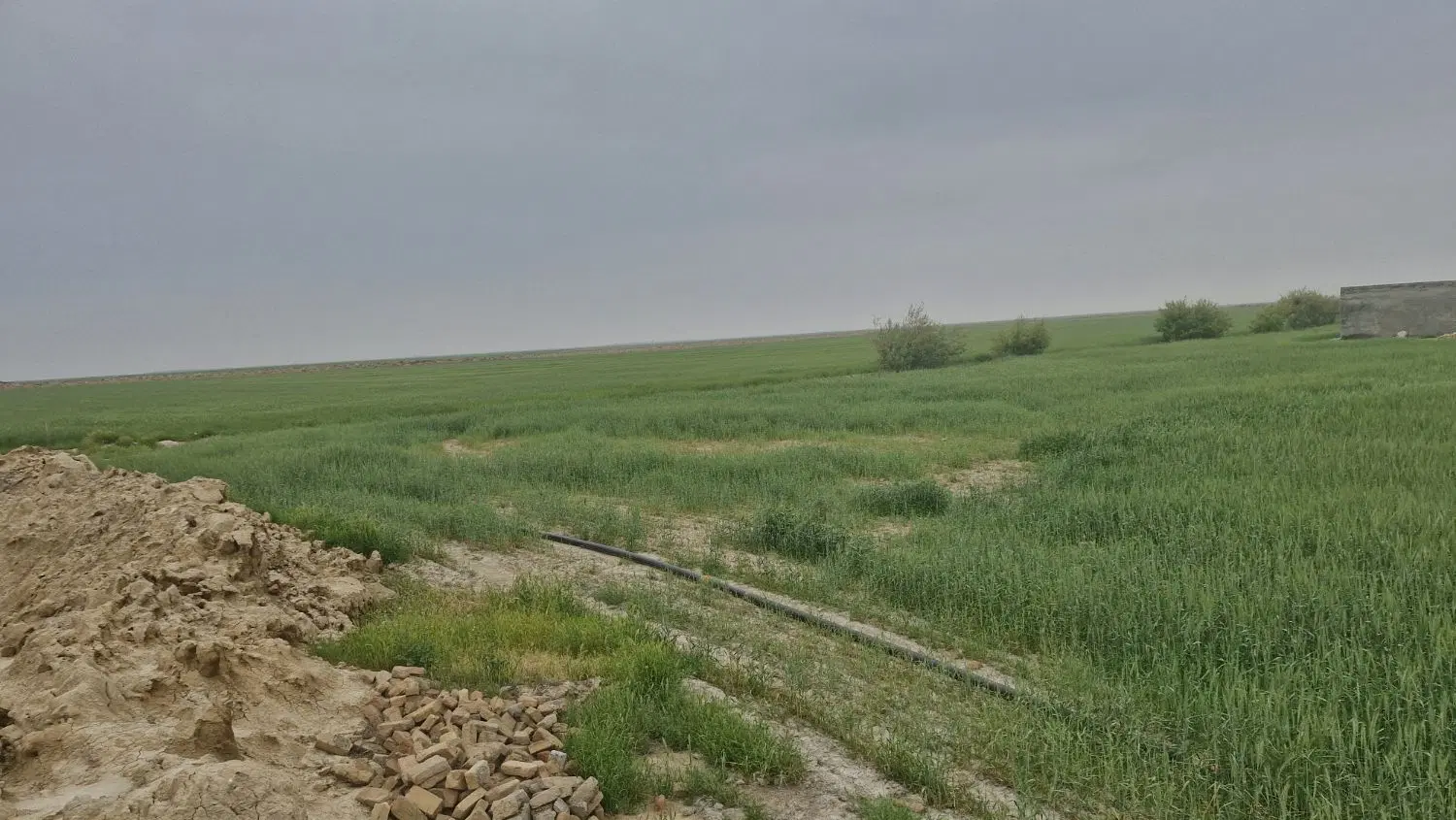 زمین مسکونی مرکز شهر آق قلا کوچه جهاد