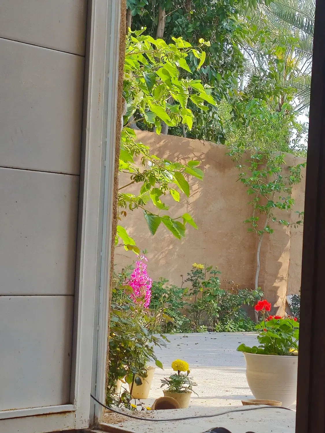 خونه باغ جمع و جور