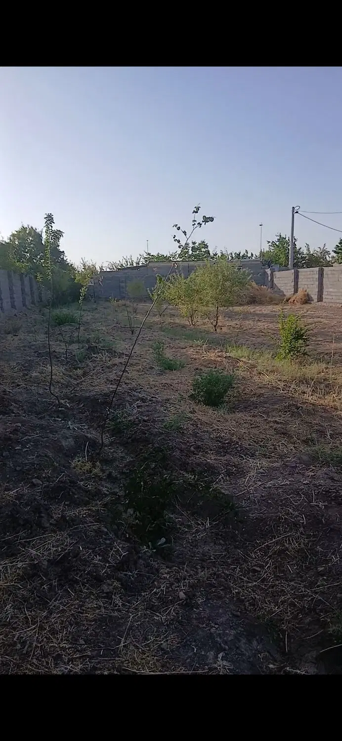 ۴۰قصب زمین موقعیت عالی مناسب خانه باغ روستای زمزرچ