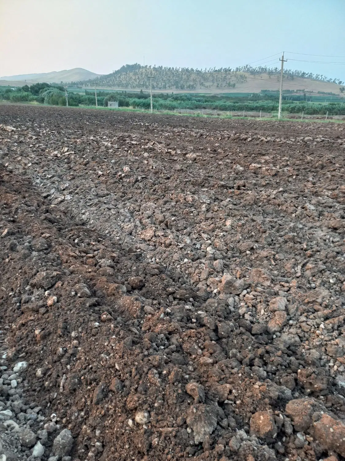 اجاره زمین ابی