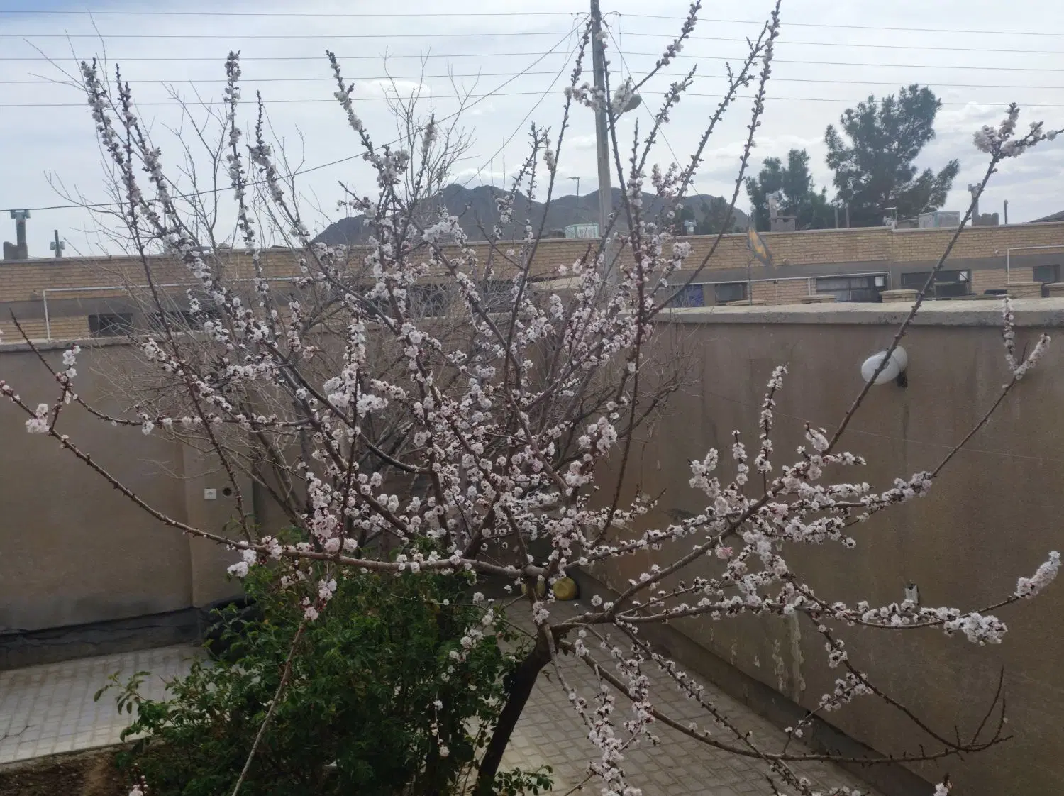 معاوضه زمین مسکن ملی با اپارتمان