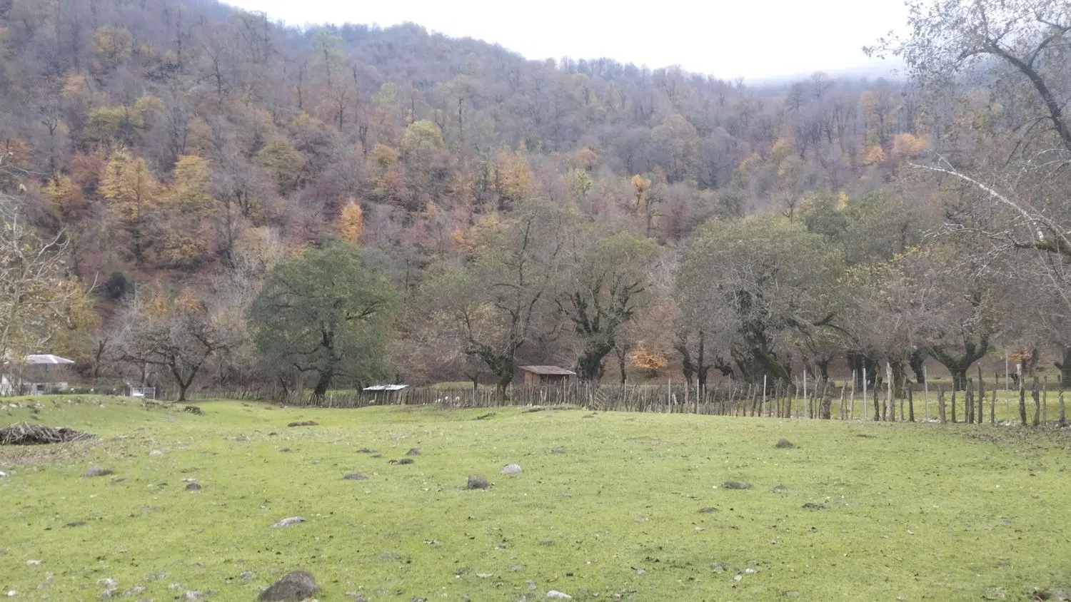 کلبه سویدی