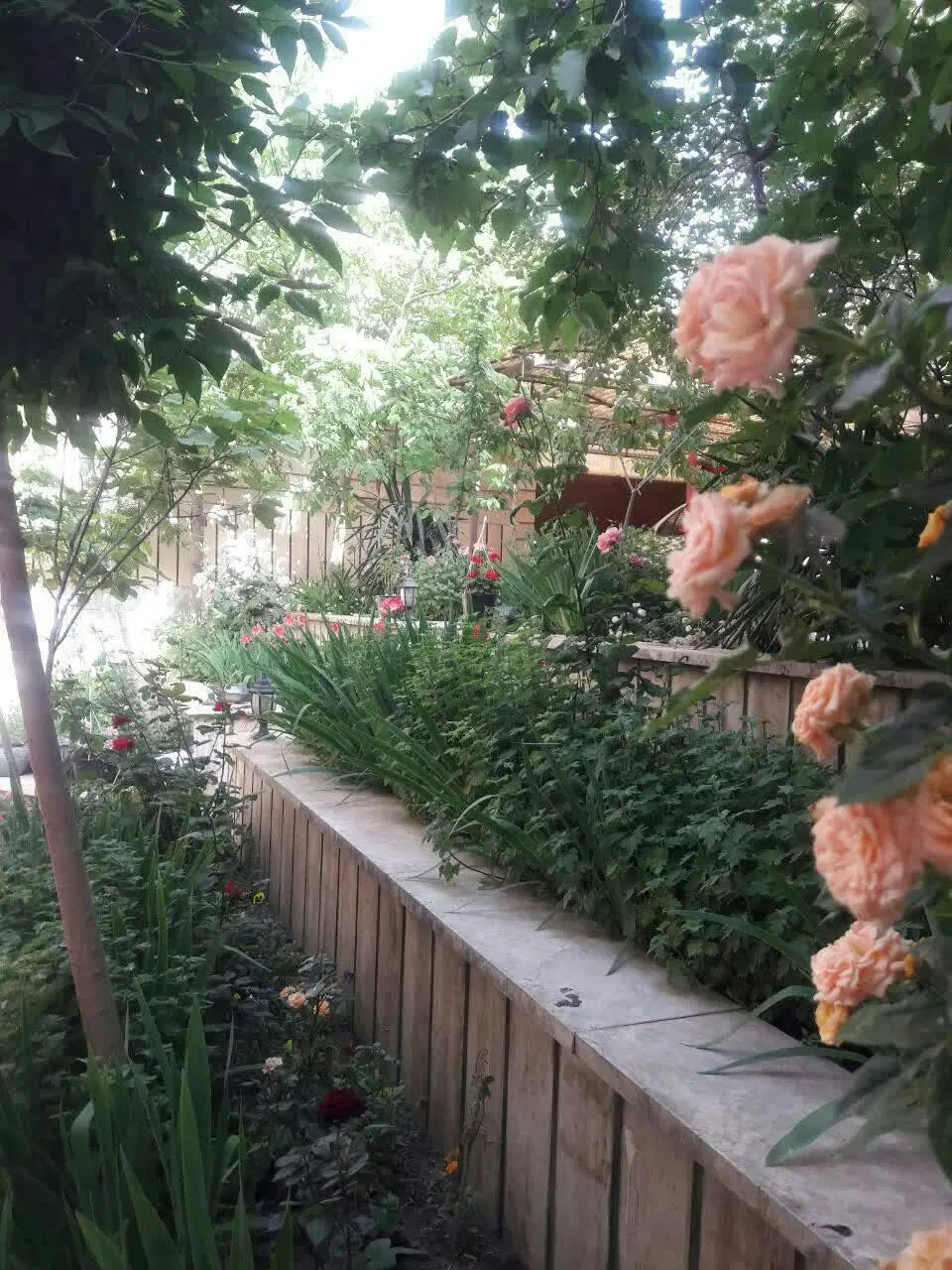 آپارتمان همکف سجاد180متربا200مترحیاط