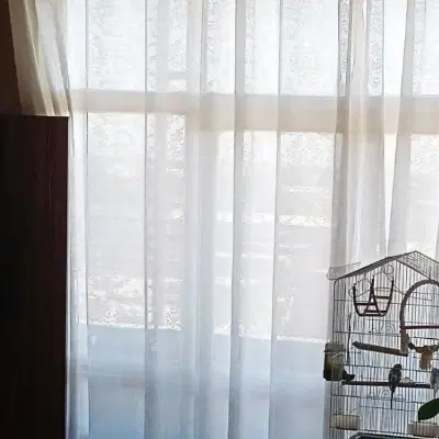 منزل طبقه همکف مجزا