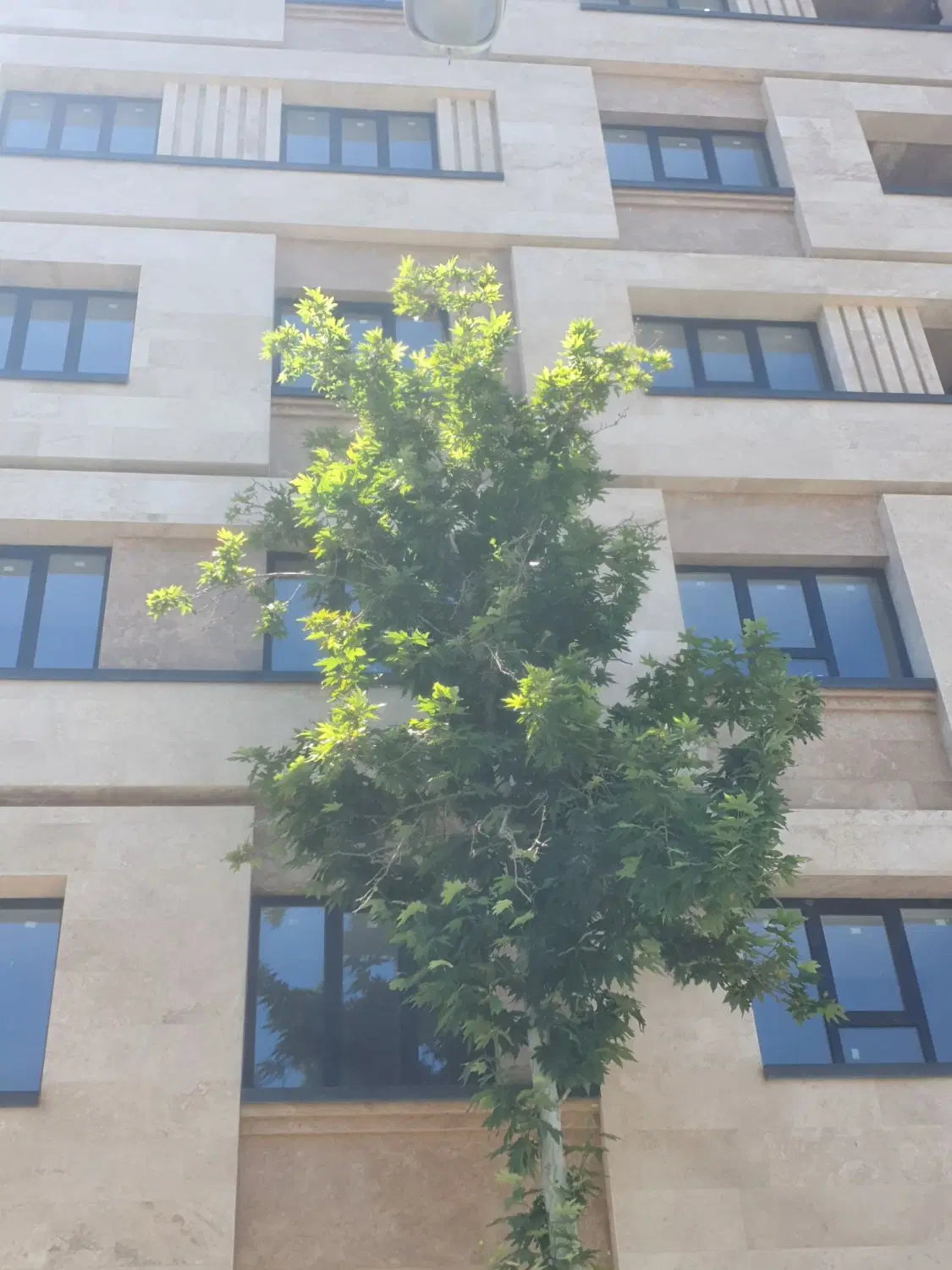 تهاتر با ملک