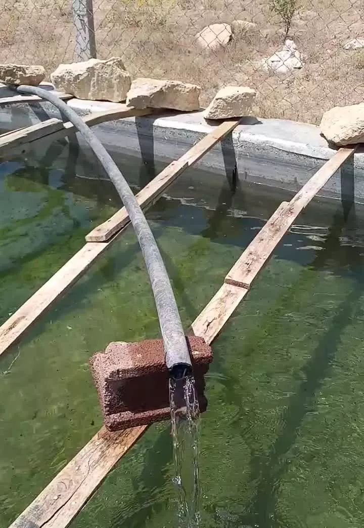 فروش باغ