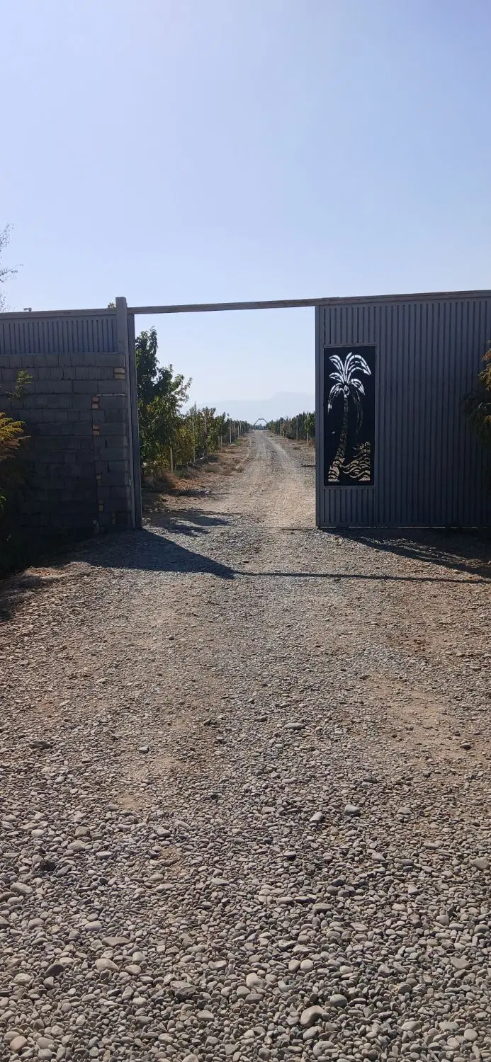 زمین باغی داخل مجموعه