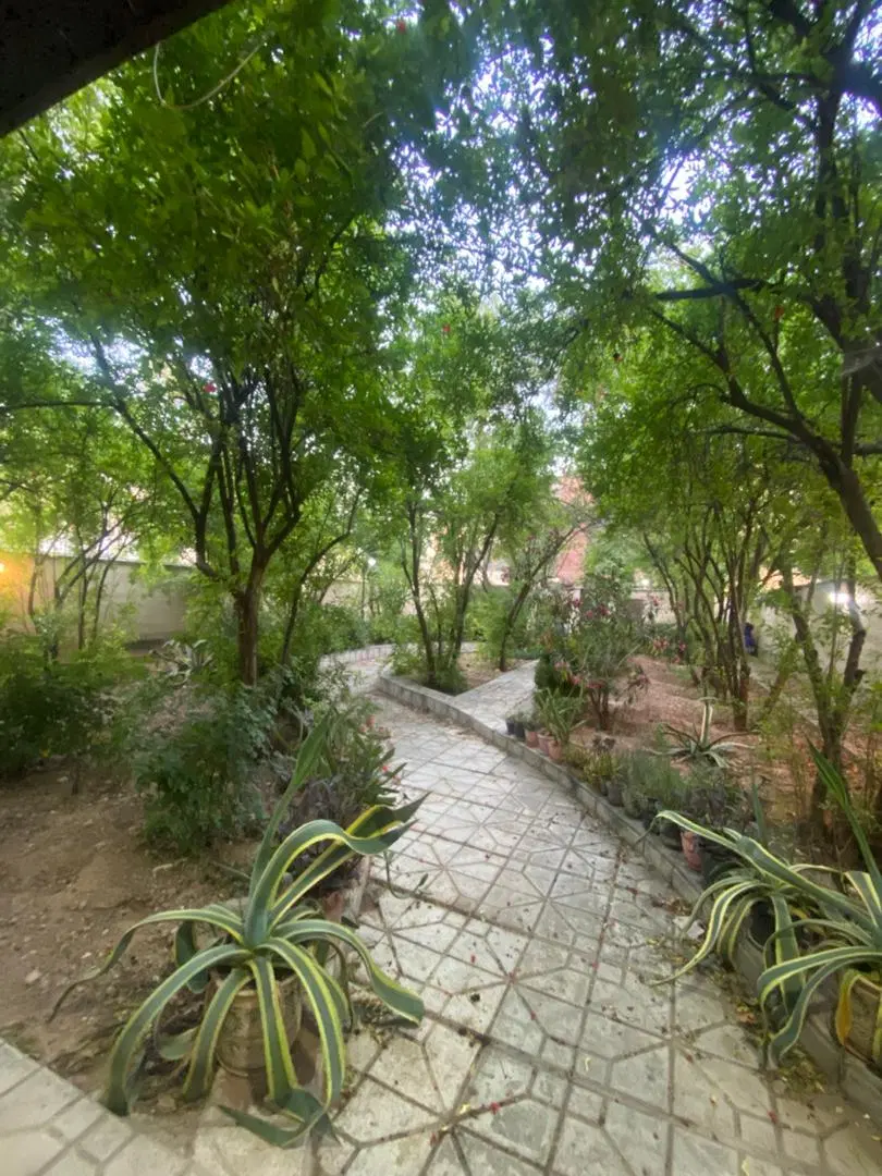 دوخوابه دکتر حسابی