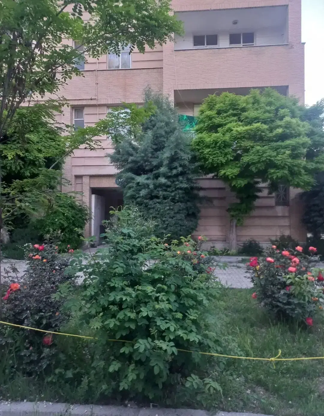 مجتمع ازادی یک‌ خوابه