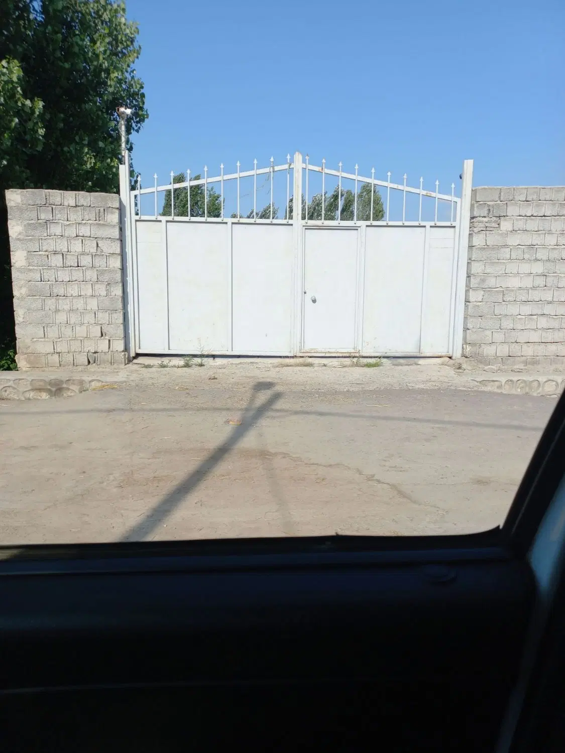 دامداری