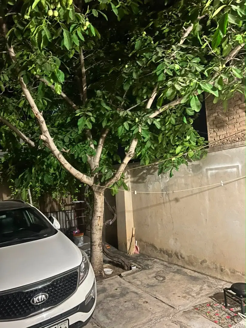 فروش خانه دو کله