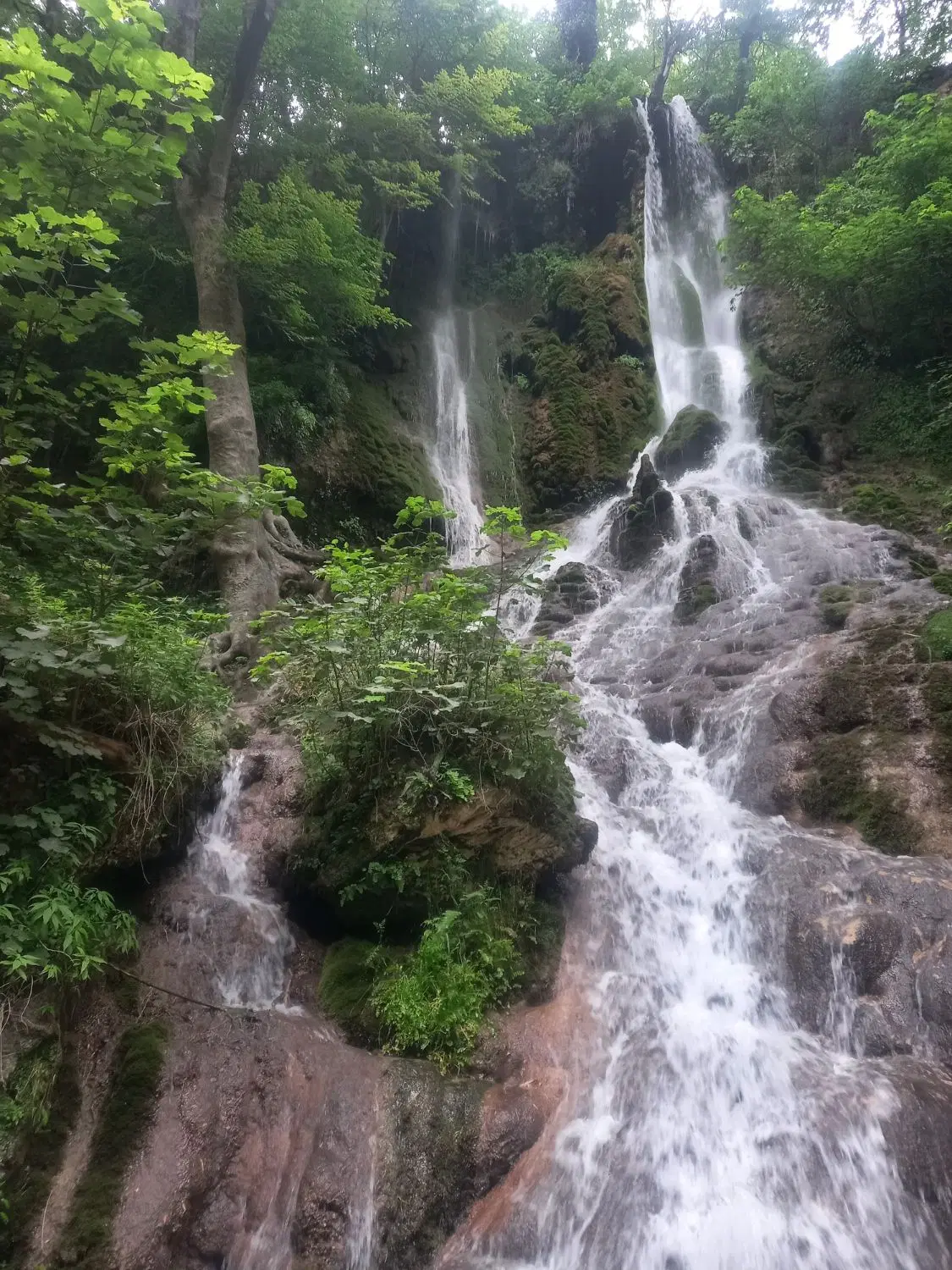 خونه باغ عالمی