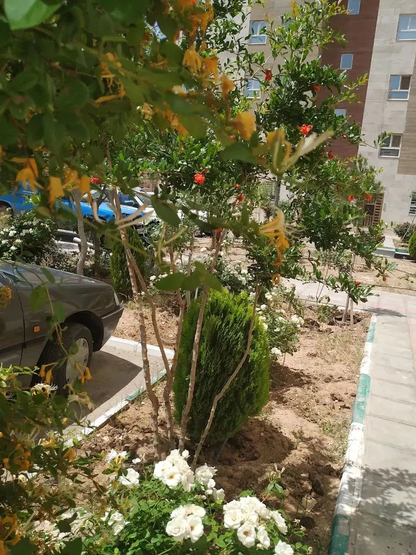 فروش آپارتمان مجتمع سنگبریها (المهدی)