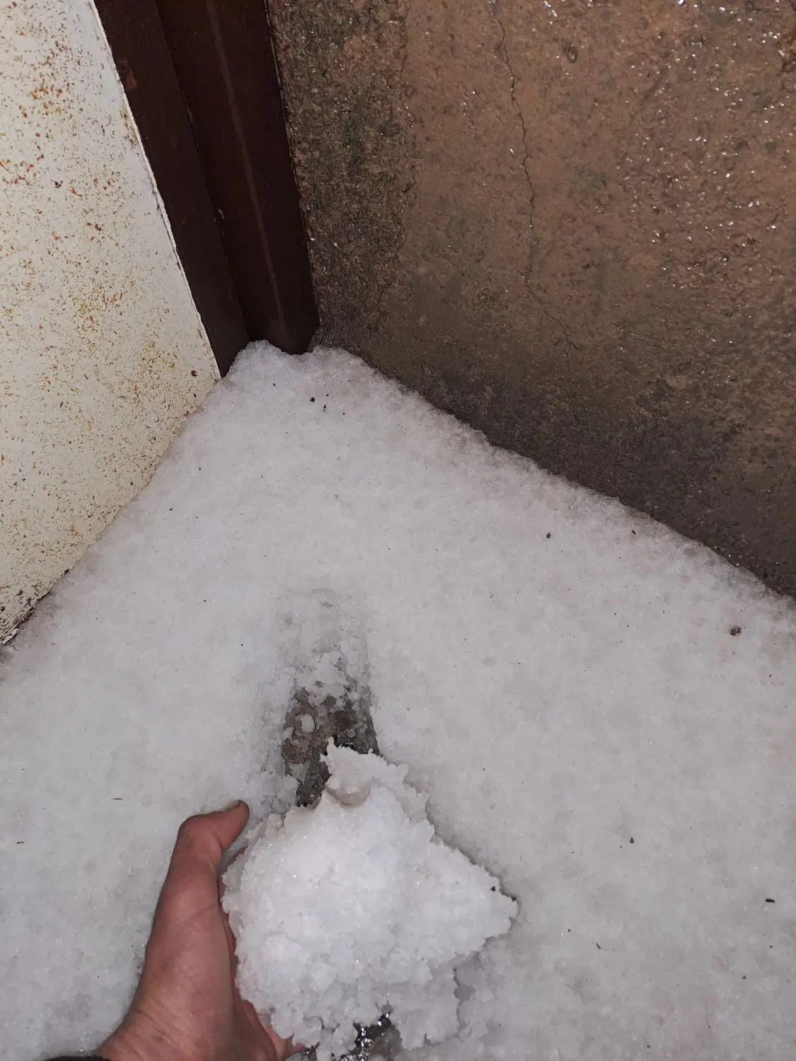 خانه و هماتاقی