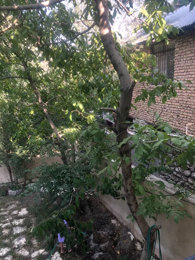 باغ ویلا فروش