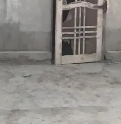 سوییت تیس