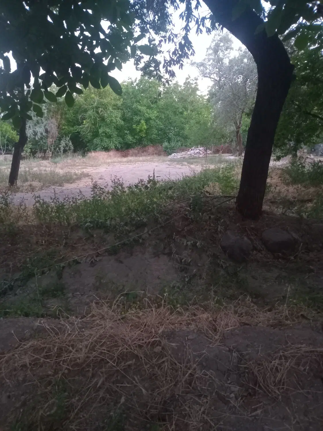 باغچه به متراژه ۶۰۰ متر