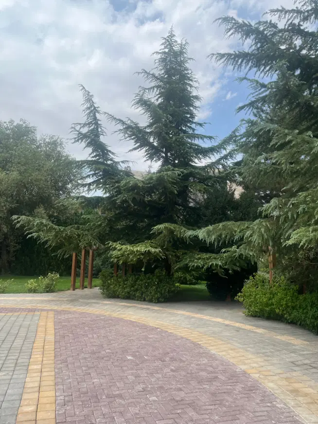۱۹۷متر آماده ساخت هوا فضا نارنجستان