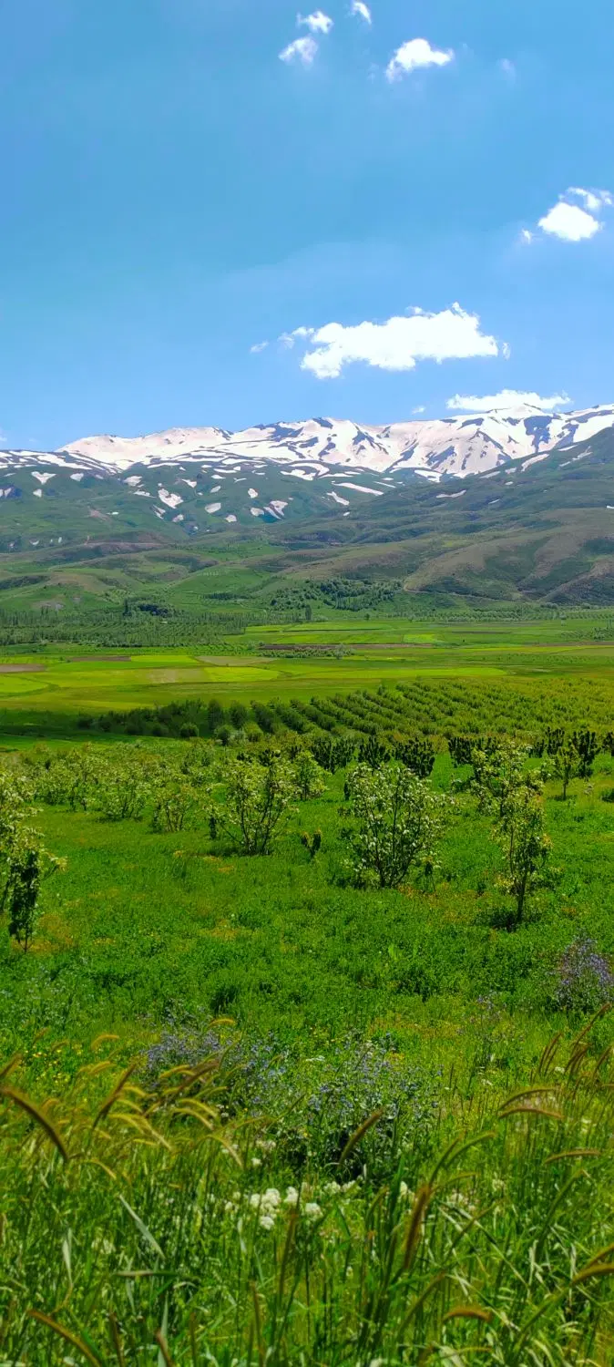 زمین کشاورزی مناسب ویلا باغ