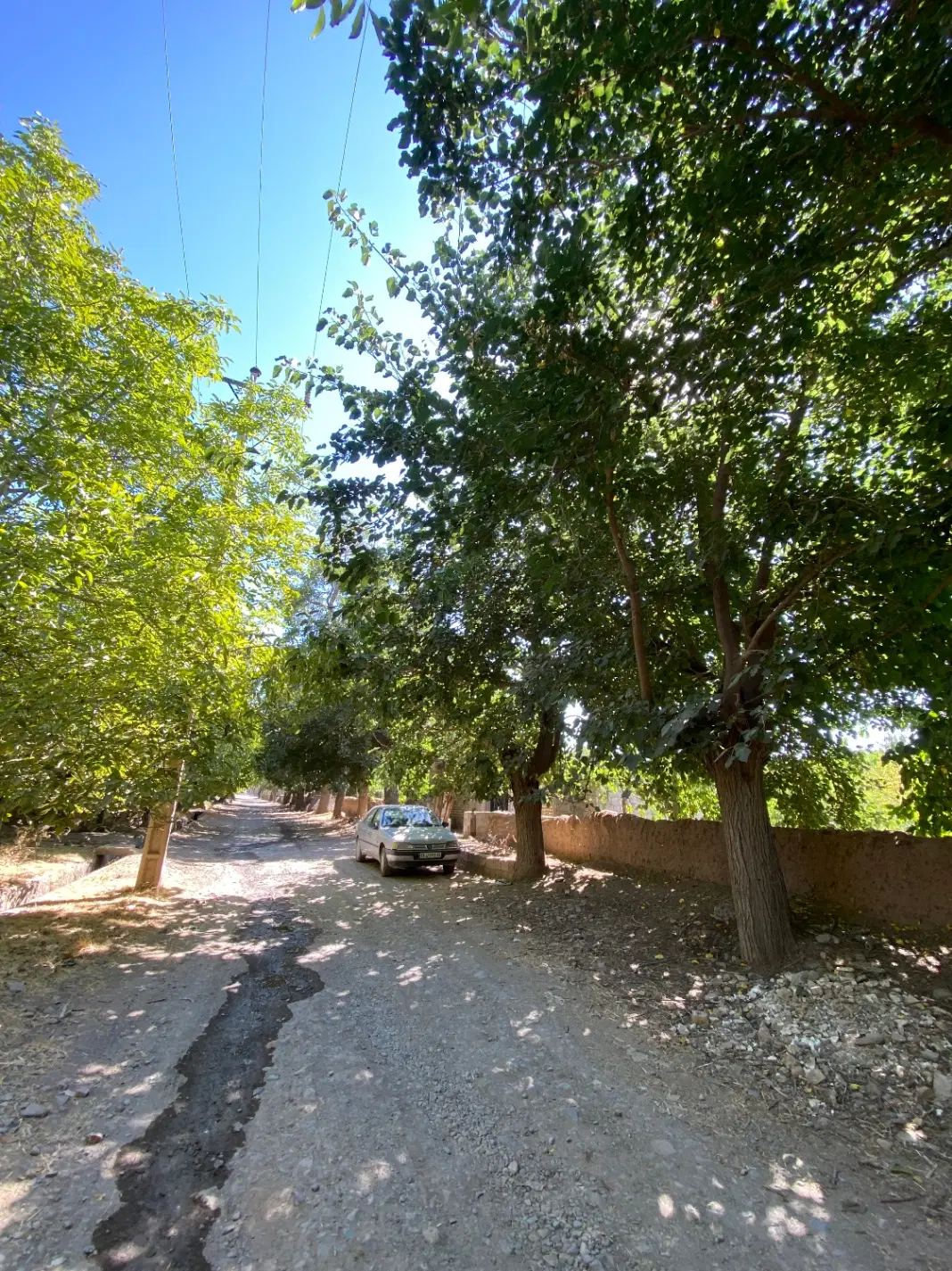 زمین باغ