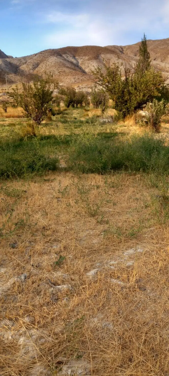 زمین فروشی