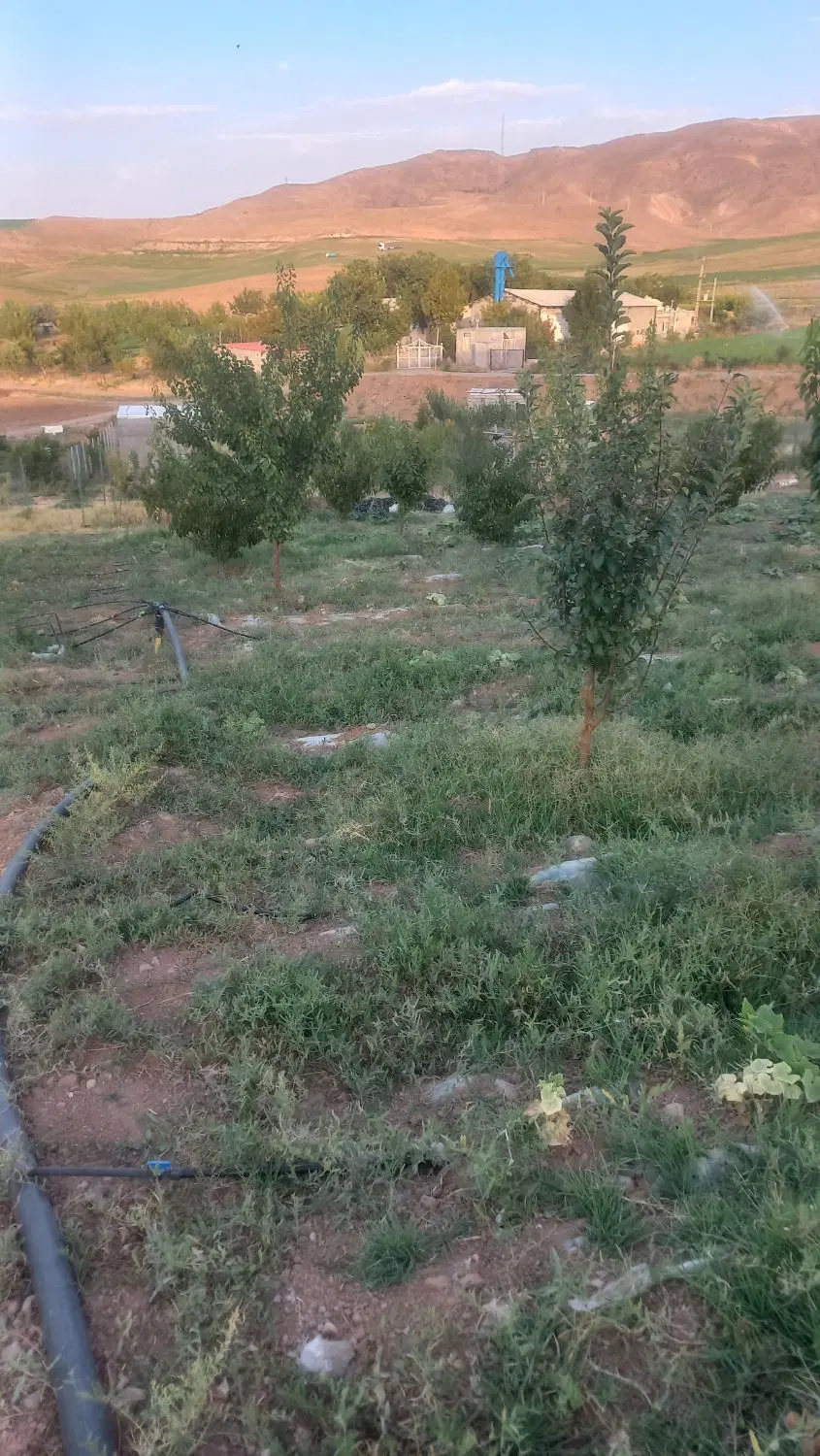 باغ در زرنه به متراژ ۲۰۰۰مترمربع
