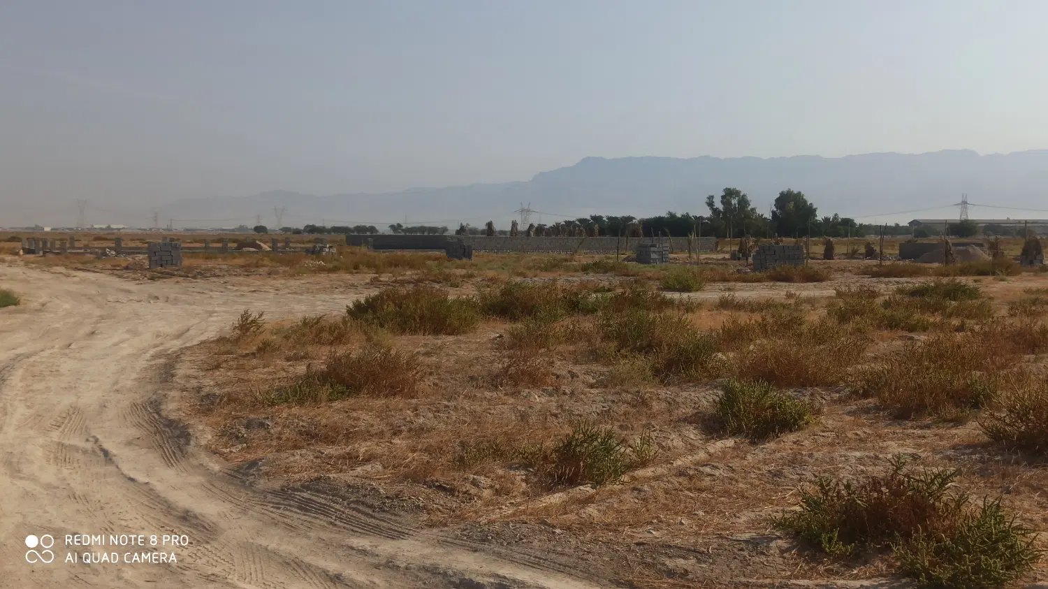 زمین مزروعی مادر سند تک برگ