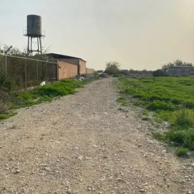 زمین باغی بنک