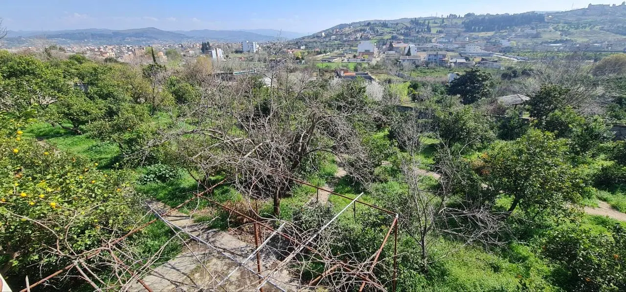 باغ ویلا دوبلکس ساری