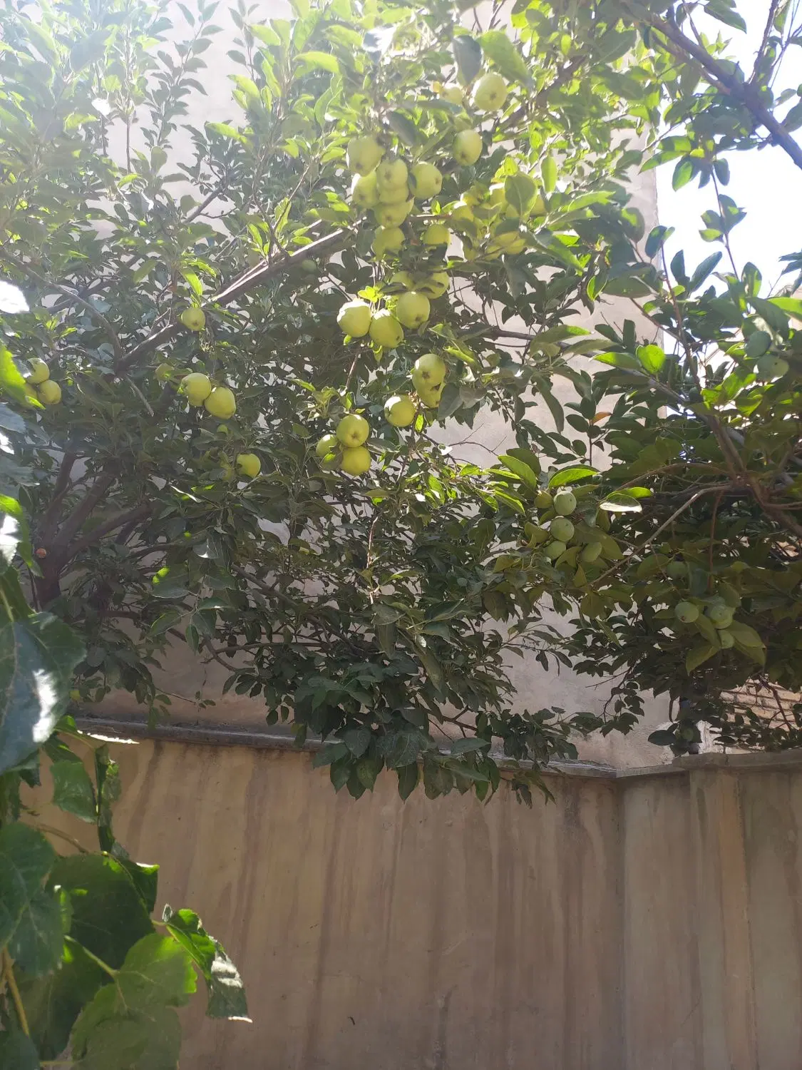 ویلایی ۲۲۵ متری دوبر دربست بلوارزن